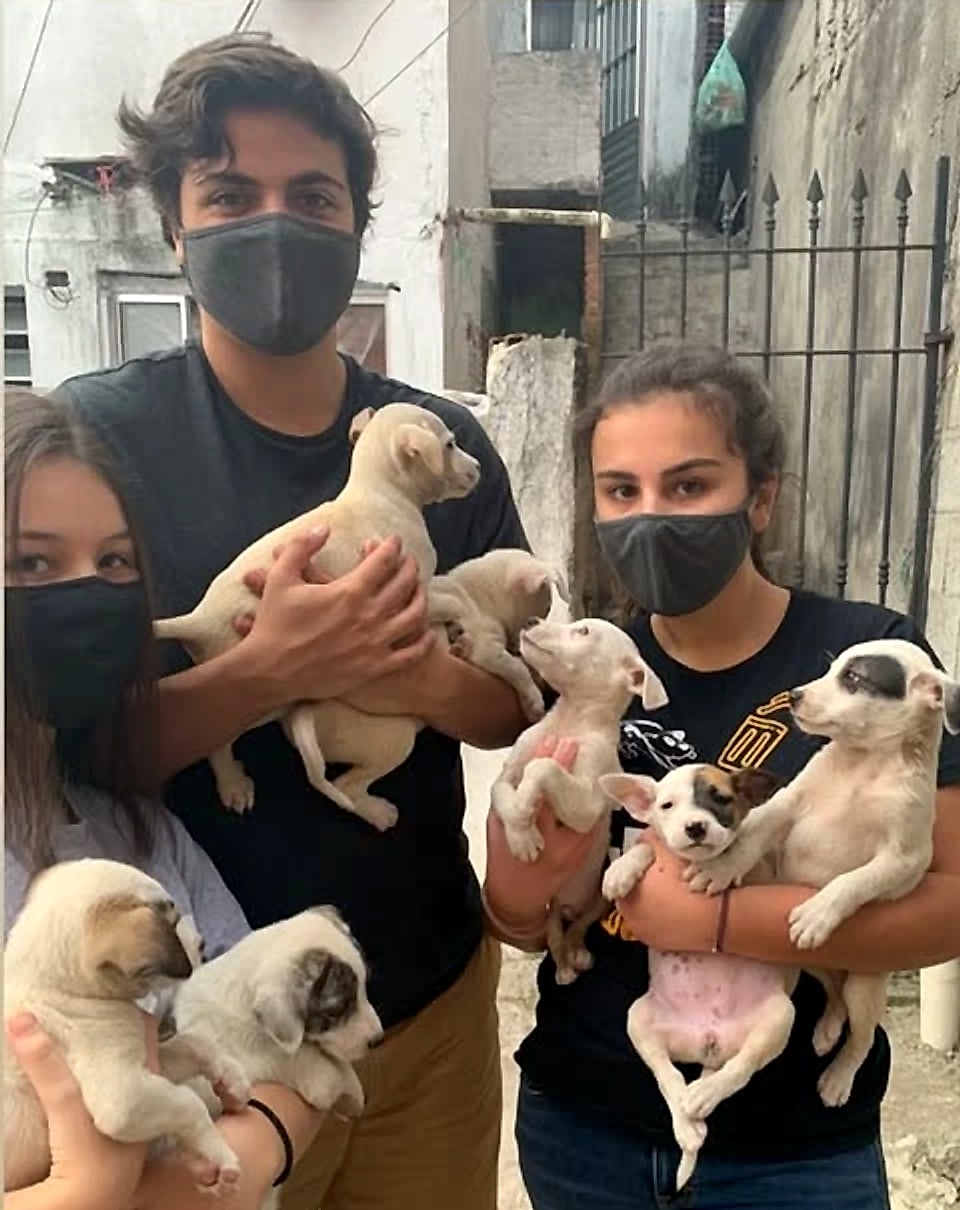 Voluntários segurando filhotes resgatados
